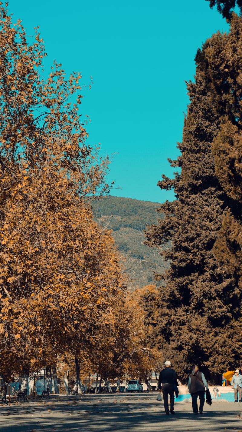 Kıbrıs'ın Sanat ve Kültür Festivali Kıbrıs'ın Sanat ve Kültür Festivali